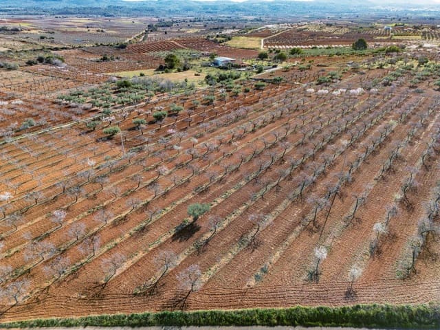 Tomt till salu i Vall d'Alba - 59 900 € (Ref: 8865324)