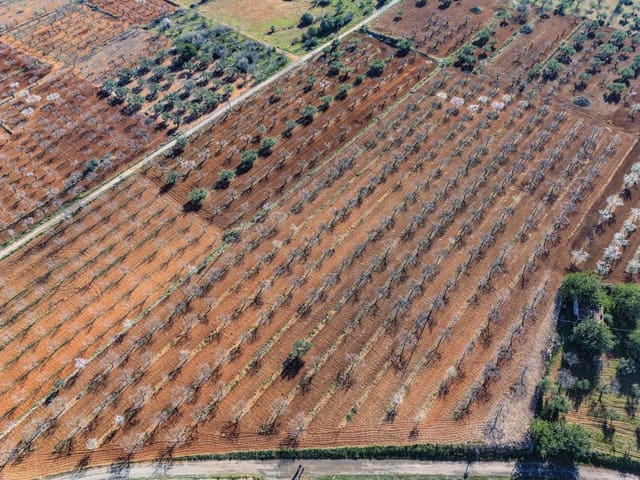 Tomt till salu i Vall d'Alba - 59 900 € (Ref: 8865324)