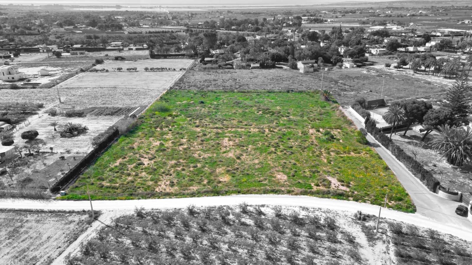 Landgrundstück zu verkaufen in Valverde - 135.000 € (Ref: 8913092)