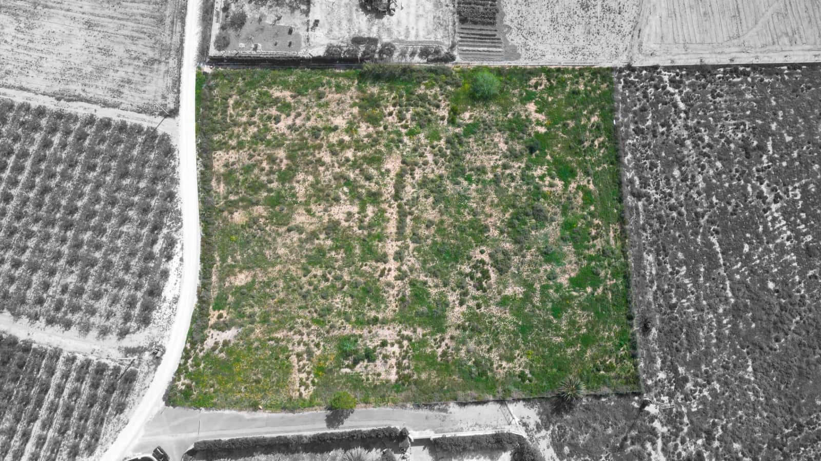 Landgrundstück zu verkaufen in Valverde - 135.000 € (Ref: 8913092)