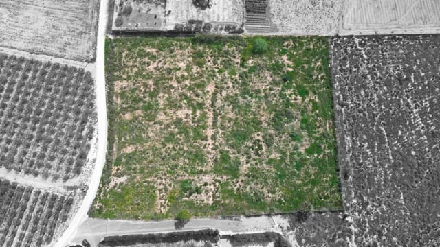 Grunde uden byggetilladelser til salg i Valverde, Elche / Elx - € 135.000 (Ref: 8913092)