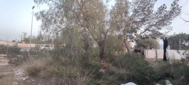 Landgrundstück zu verkaufen in Elche / Elx - 9.999 € (Ref: 8938583)