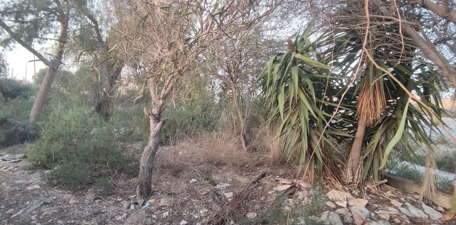 Landgrundstück zu verkaufen in Elche / Elx - 9.999 € (Ref: 8938583)