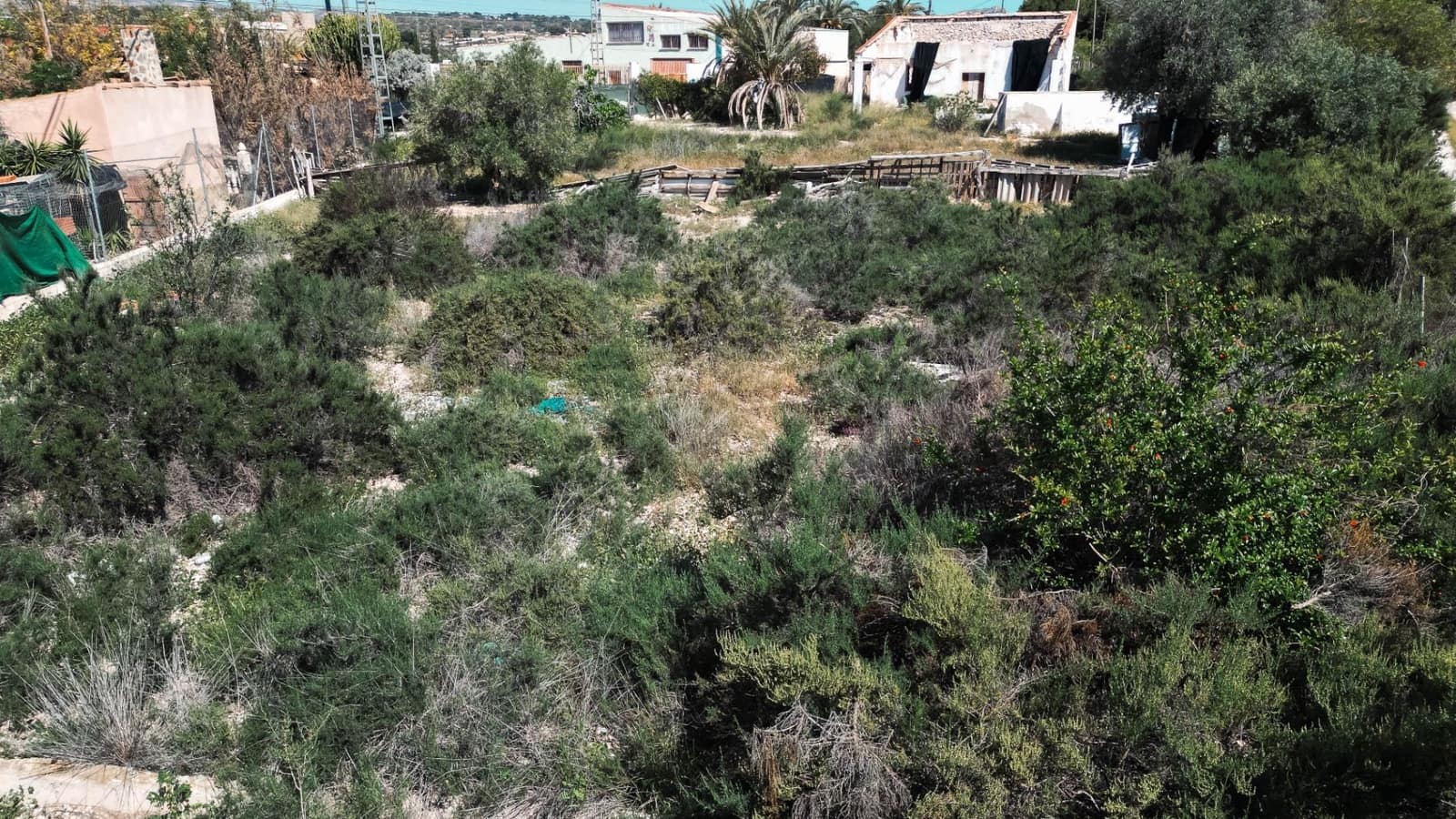 Landgrundstück zu verkaufen in Elche / Elx - 9.999 € (Ref: 8938583)