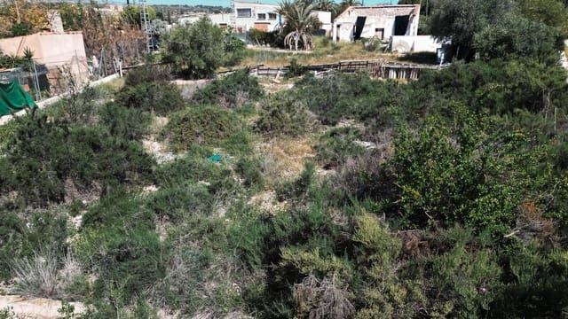 Landgrundstück zu verkaufen in Elche / Elx - 9.999 € (Ref: 8938583)