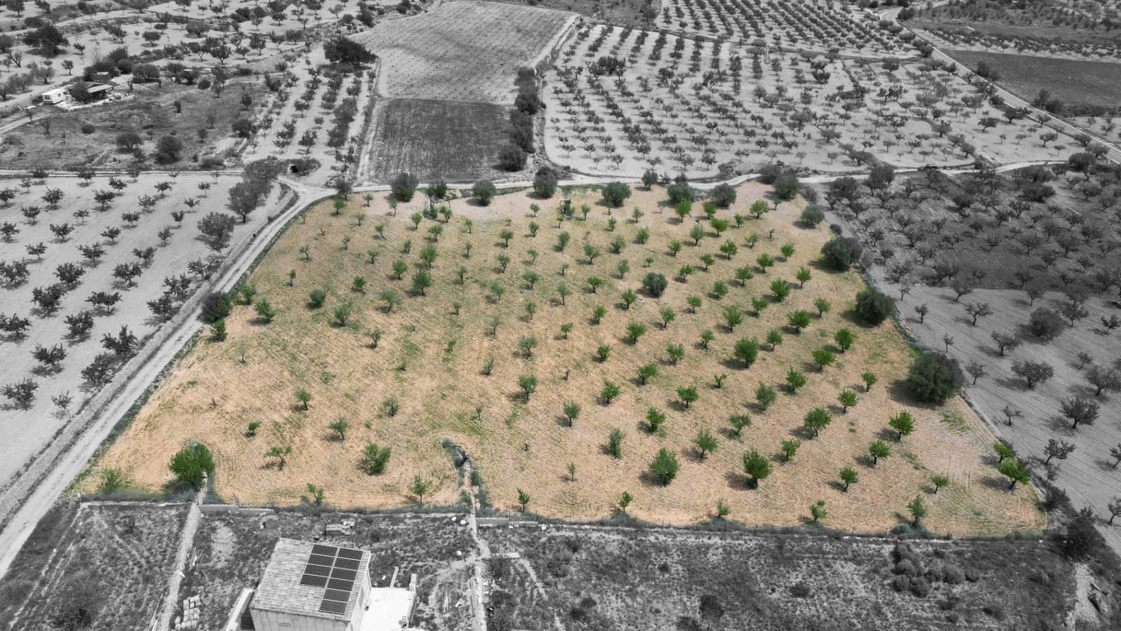 Building Plot for sale in La Romana - € 36,000 (Ref: 8943895)