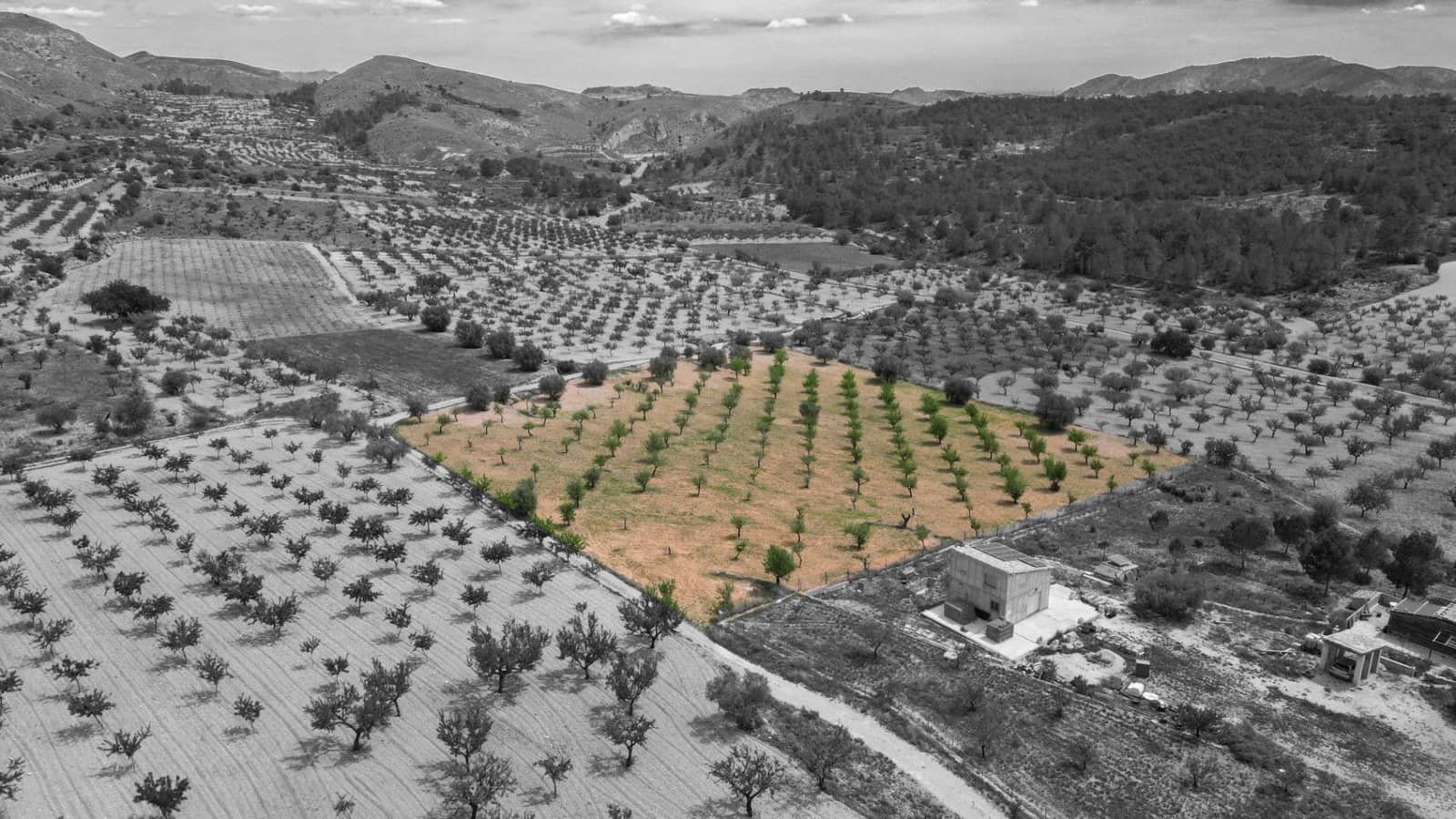 Building Plot for sale in La Romana - € 36,000 (Ref: 8943895)