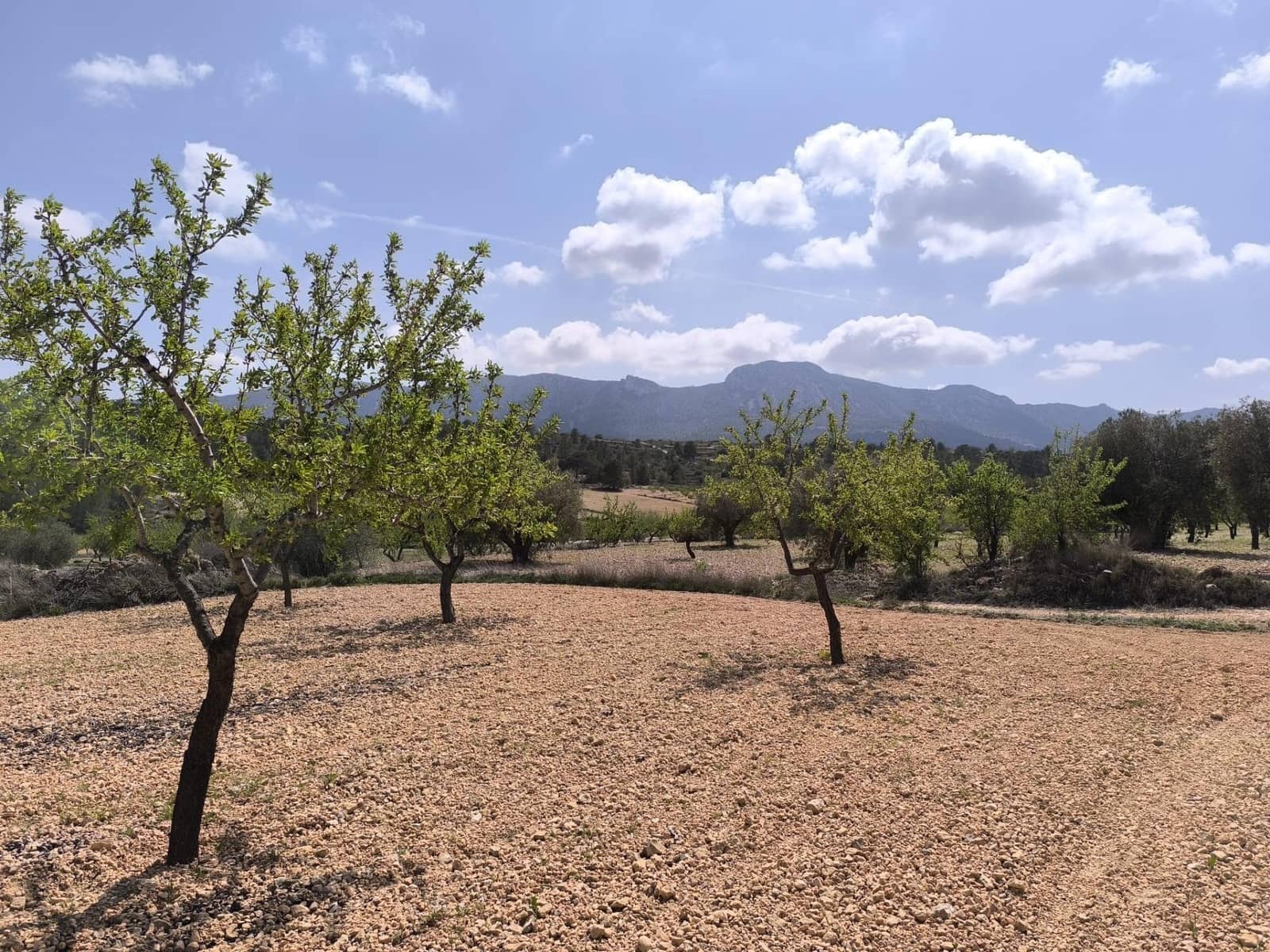 Building Plot for sale in La Romana - € 36,000 (Ref: 8943895)