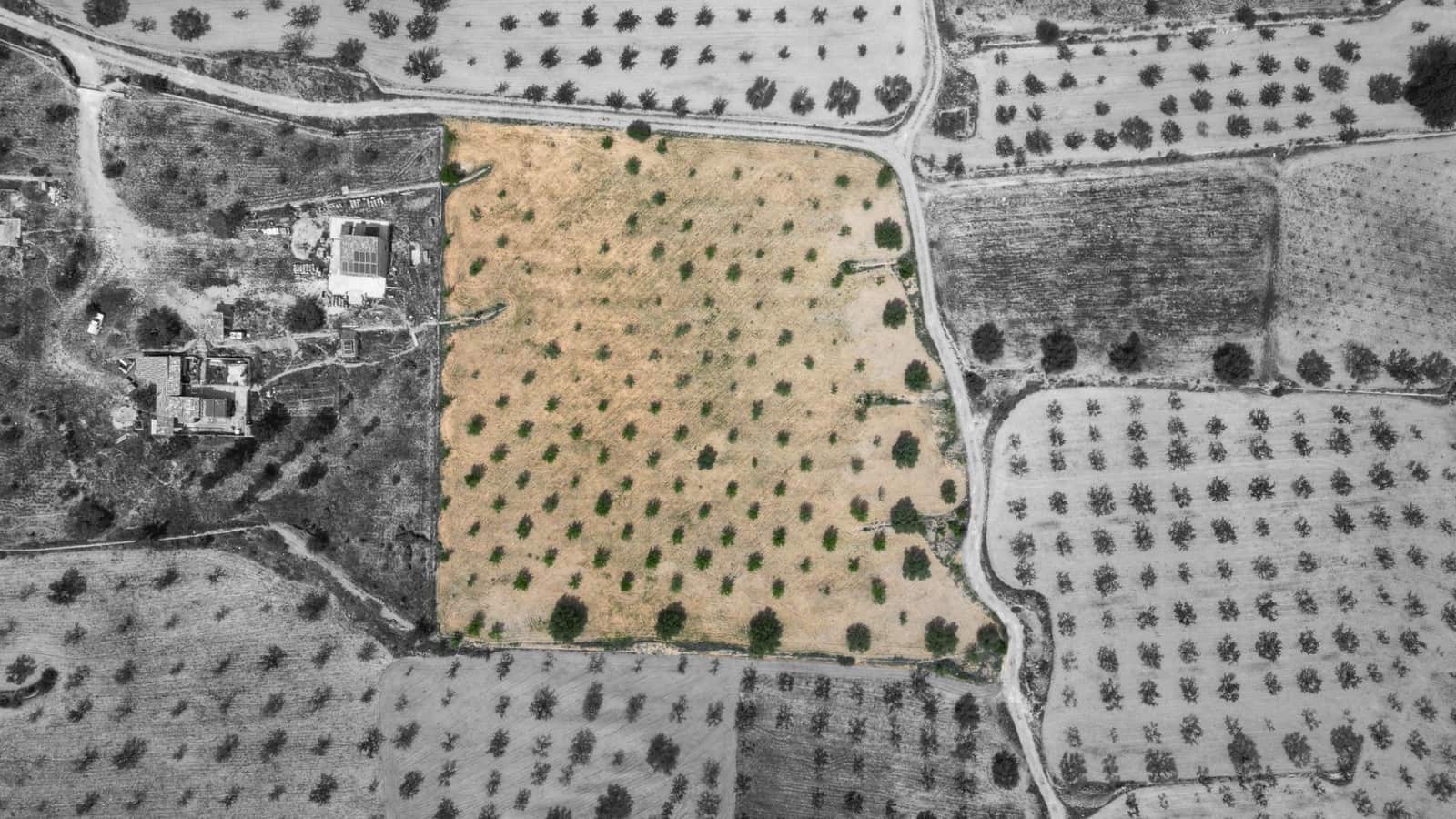 Building Plot for sale in La Romana - € 36,000 (Ref: 8943895)