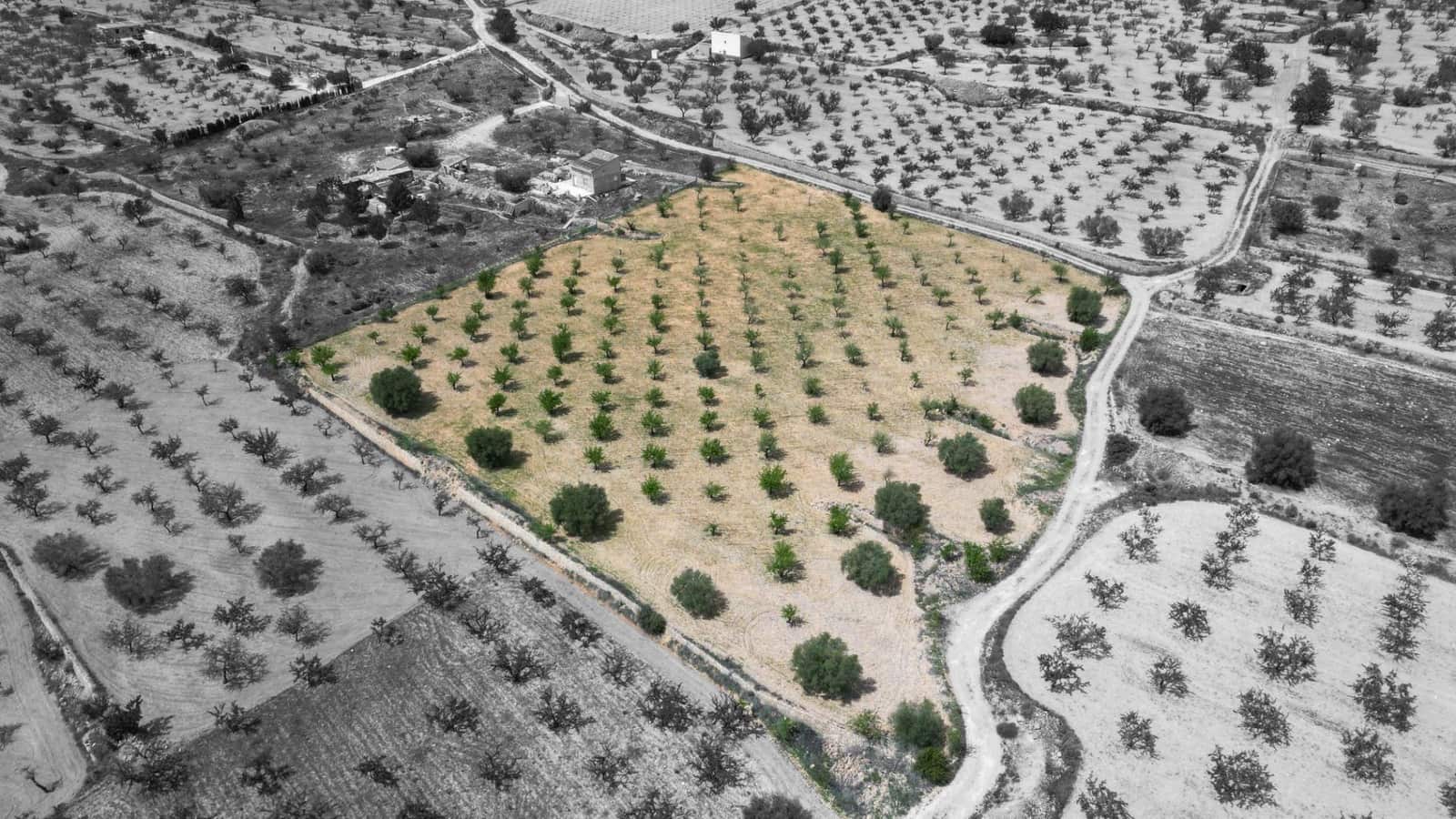 Building Plot for sale in La Romana - € 36,000 (Ref: 8943895)