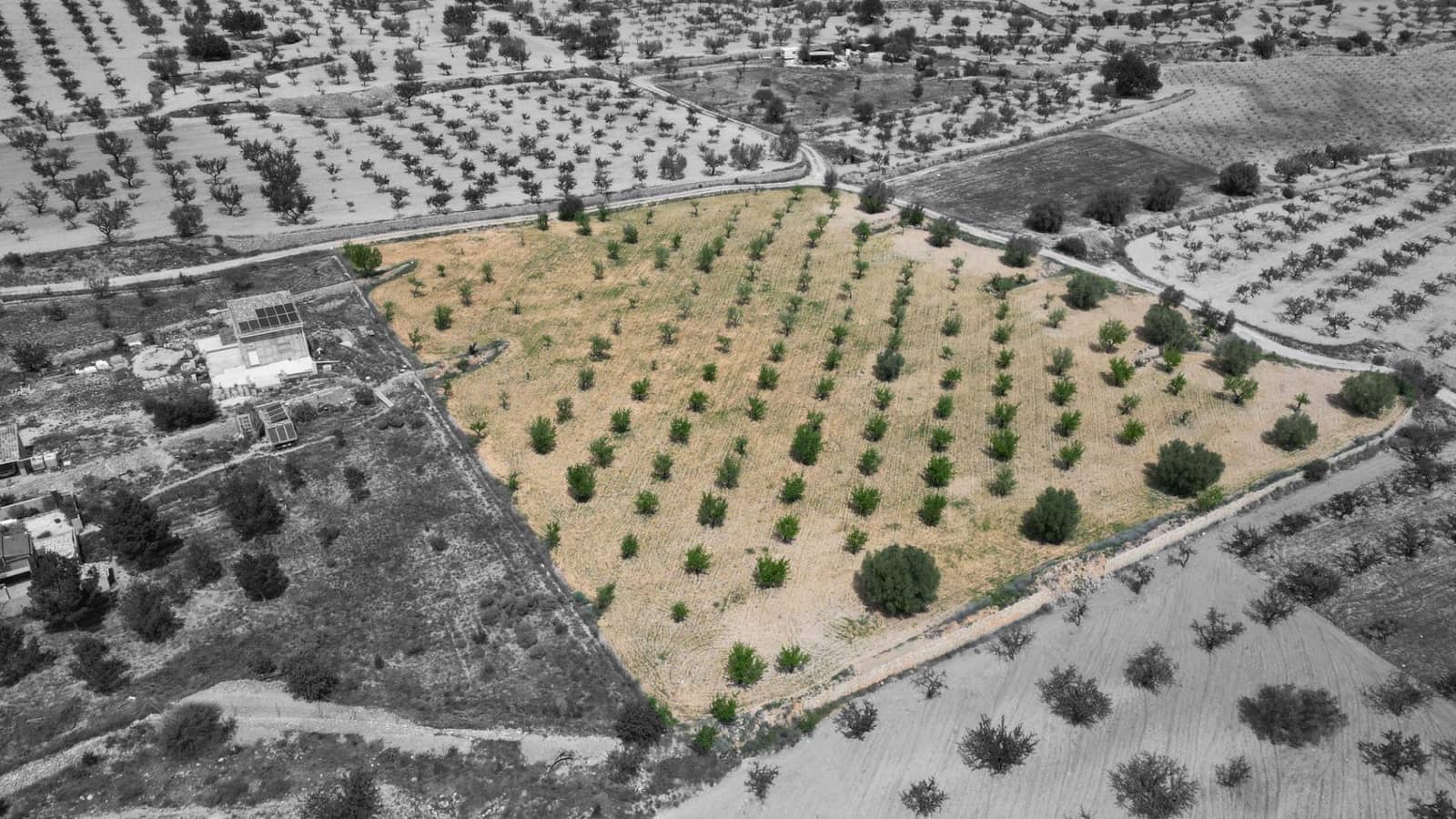 Building Plot for sale in La Romana - € 36,000 (Ref: 8943895)