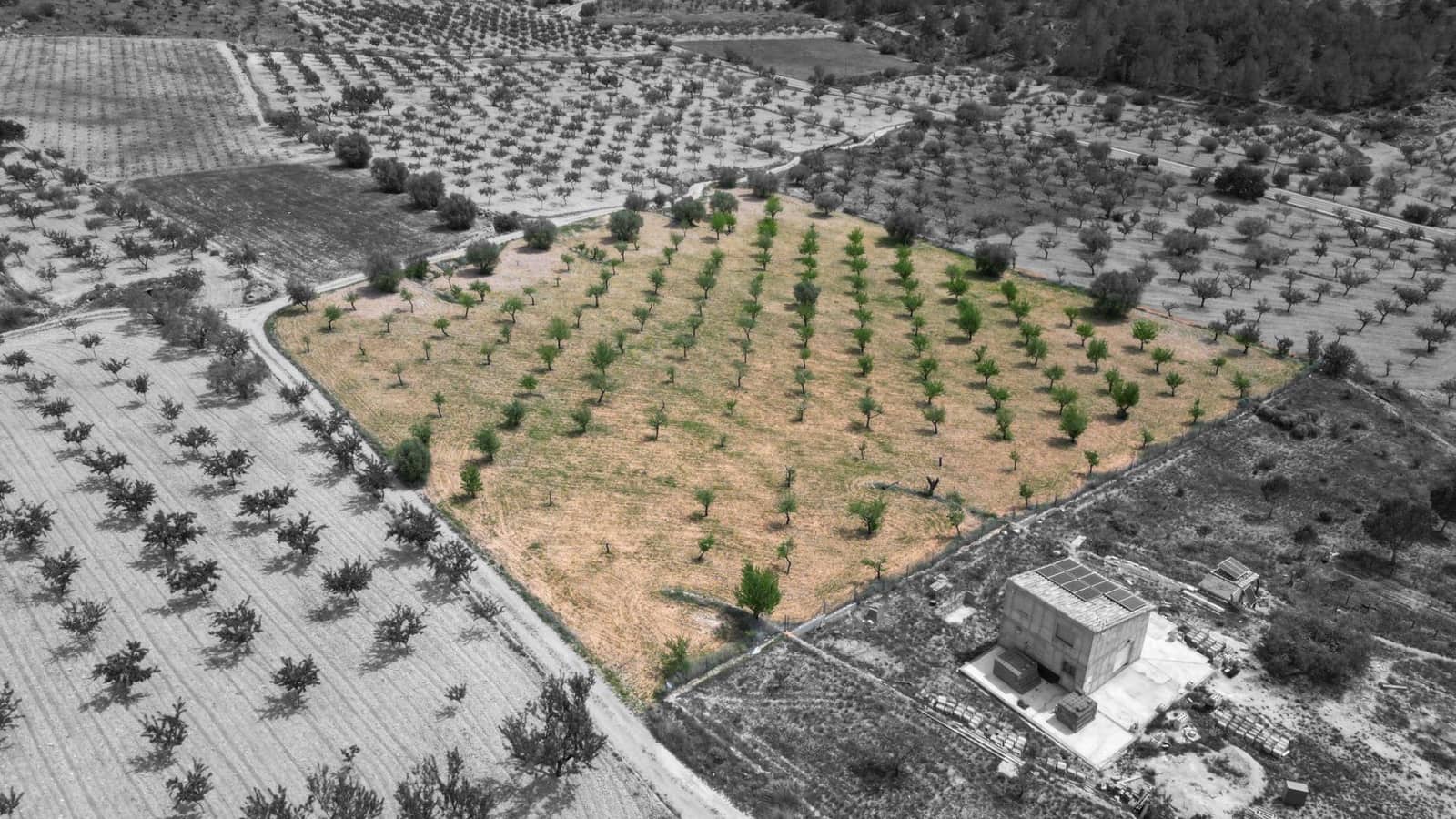 Building Plot for sale in La Romana - € 36,000 (Ref: 8943895)