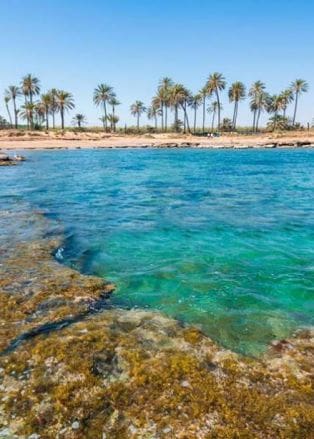 3 soveværelse Lejlighed til salg i Punta Prima, Torrevieja med swimmingpool - € 409.000 (Ref: 8976070)