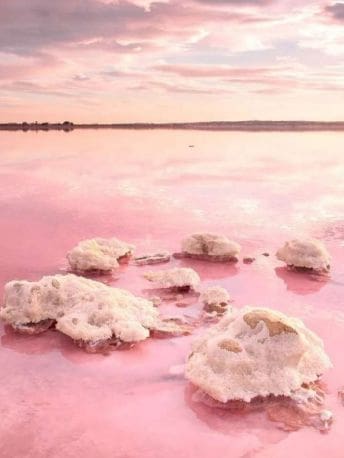 3 soveværelse Lejlighed til salg i Punta Prima, Torrevieja med swimmingpool - € 409.000 (Ref: 8976070)