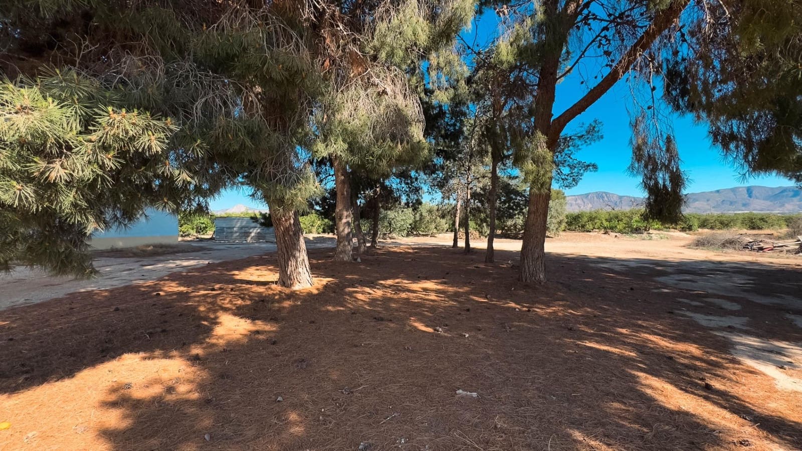 Terraced Villa for sale in Albatera - € 36,000 (Ref: 8999391)