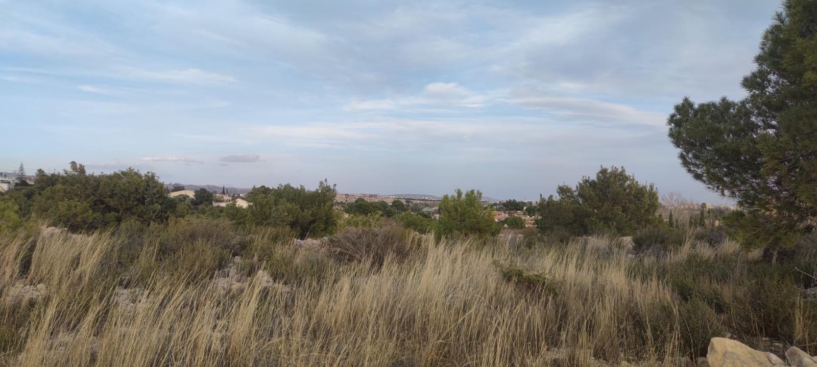 Building Plot for sale in Elche / Elx - € 150,000 (Ref: 9005997)
