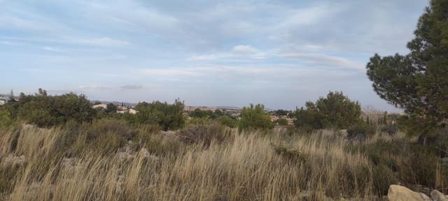 Building Plot for sale in Elche / Elx - € 150,000 (Ref: 9005997)