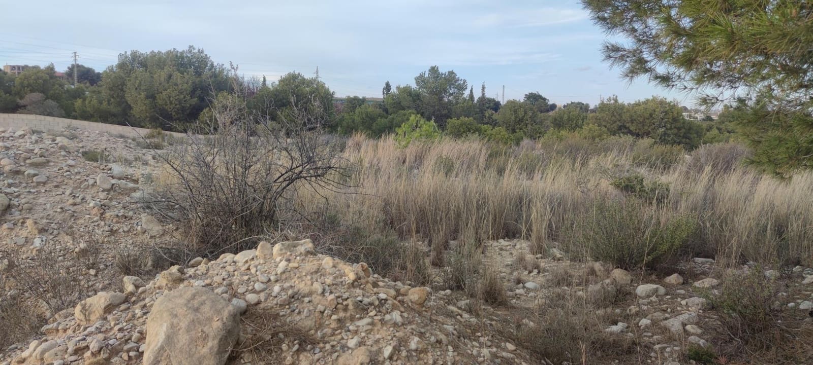 Building Plot for sale in Elche / Elx - € 150,000 (Ref: 9005997)