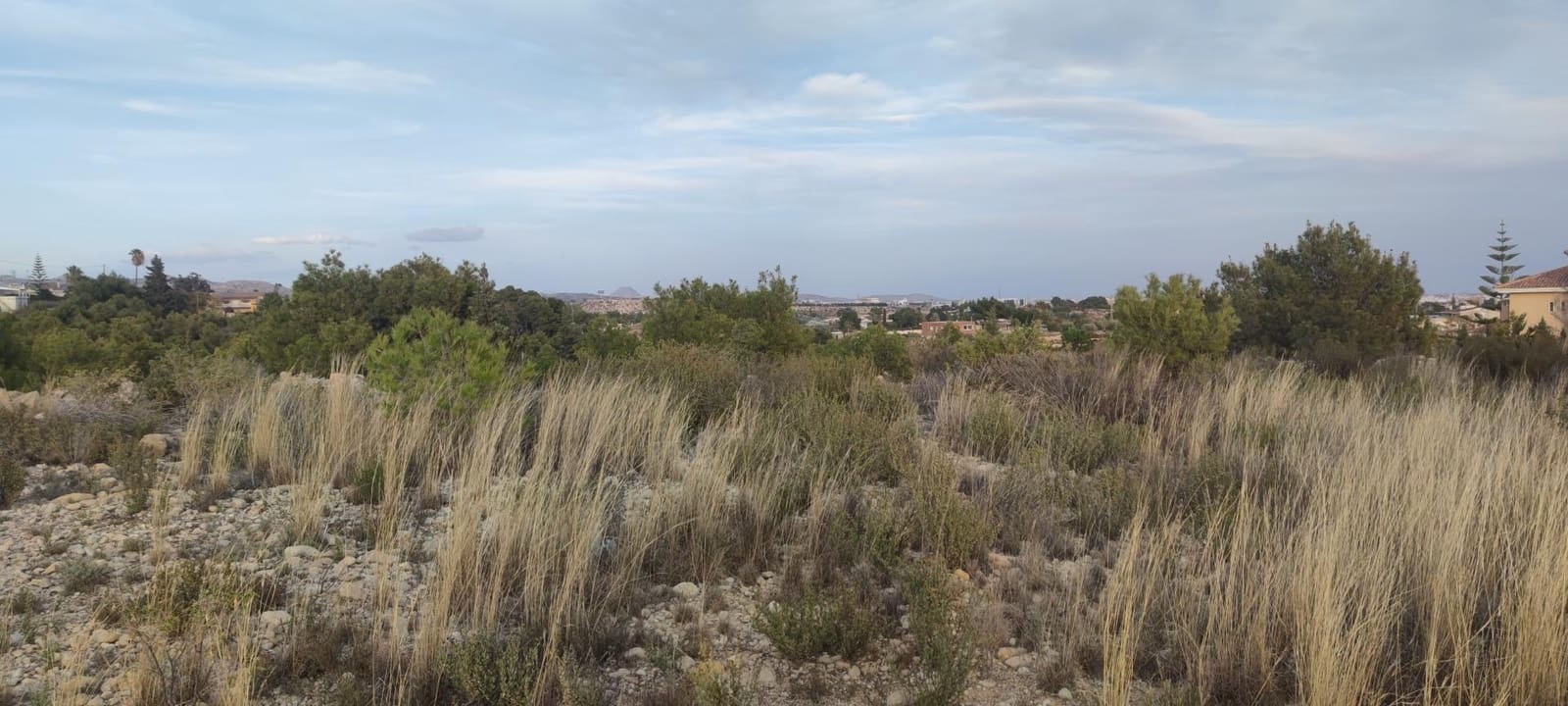 Building Plot for sale in Elche / Elx - € 150,000 (Ref: 9005997)