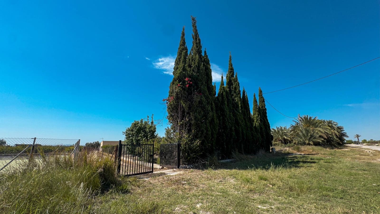 Terreno Non Edificato in vendita in Crevillente / Crevillent - 77.000 € (Rif: 9018161)