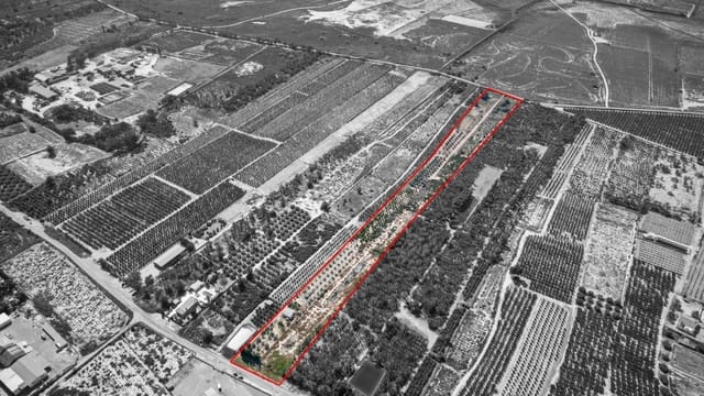 Terreno Non Edificato in vendita in Crevillente / Crevillent - 77.000 € (Rif: 9018161)