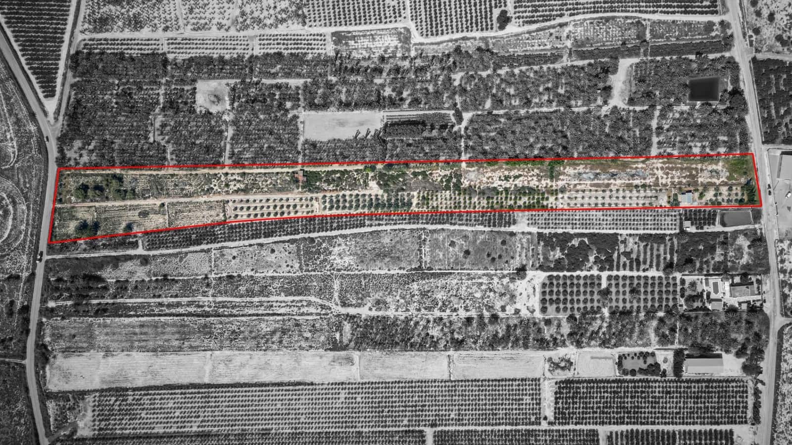 Terreno Non Edificato in vendita in Crevillente / Crevillent - 77.000 € (Rif: 9018161)