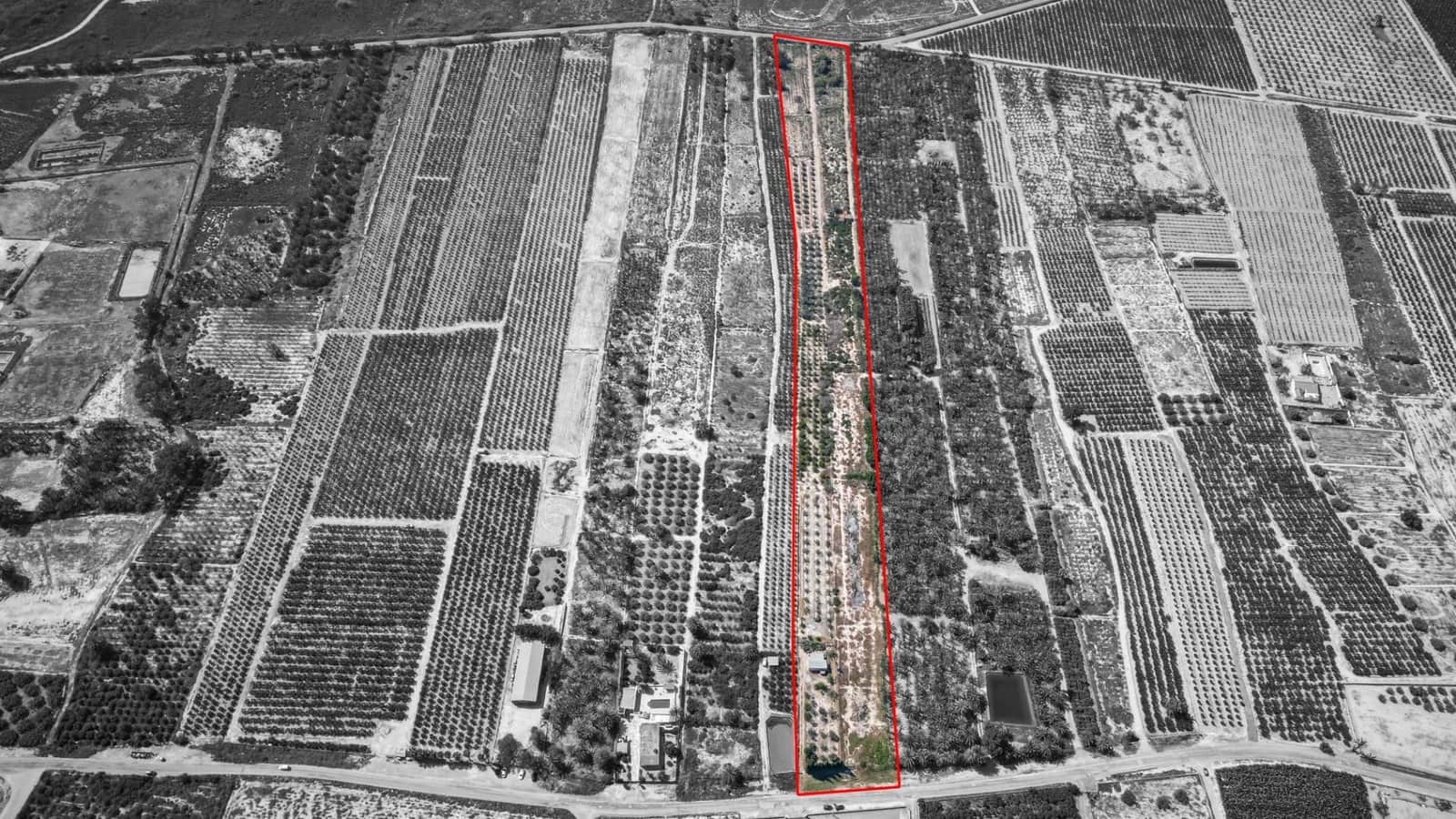 Terreno Non Edificato in vendita in Crevillente / Crevillent - 77.000 € (Rif: 9018161)