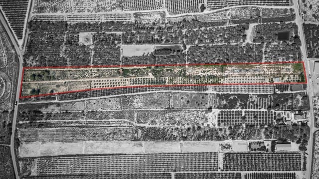 Terreno Non Edificato in vendita in Crevillente / Crevillent - 77.000 € (Rif: 9018161)