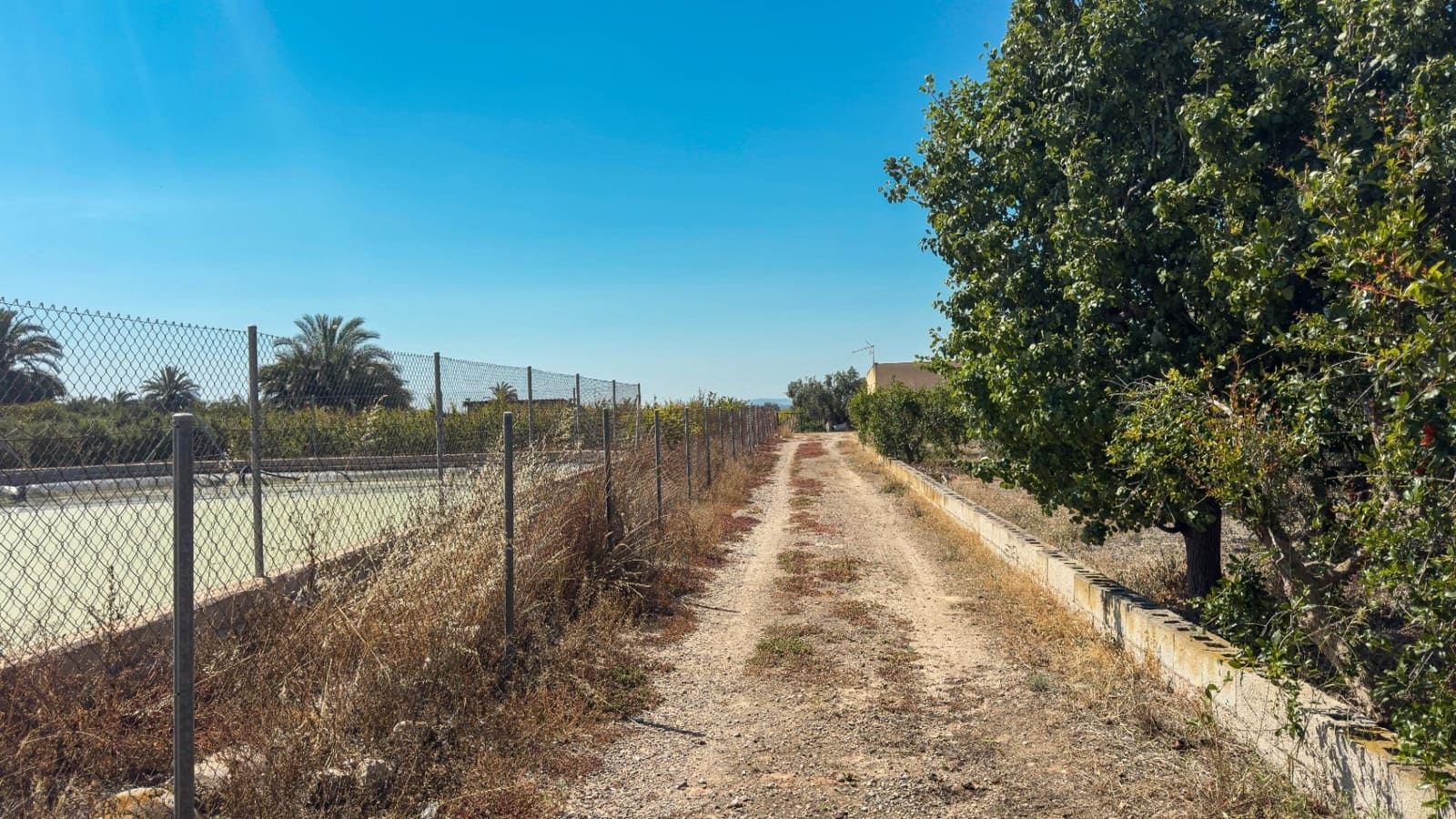 Terreno Non Edificato in vendita in Crevillente / Crevillent - 77.000 € (Rif: 9018161)