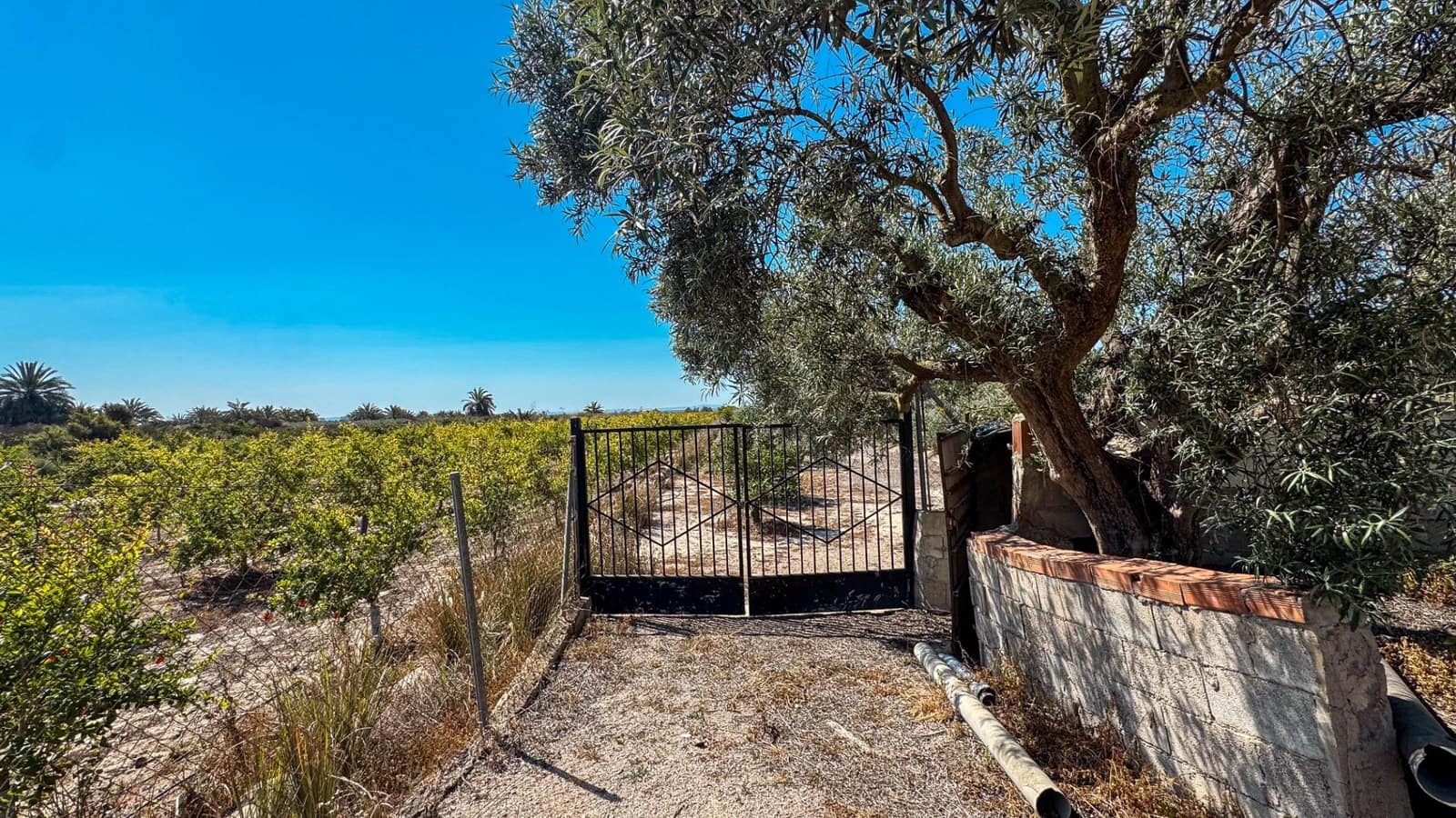 Terreno Non Edificato in vendita in Crevillente / Crevillent - 77.000 € (Rif: 9018161)