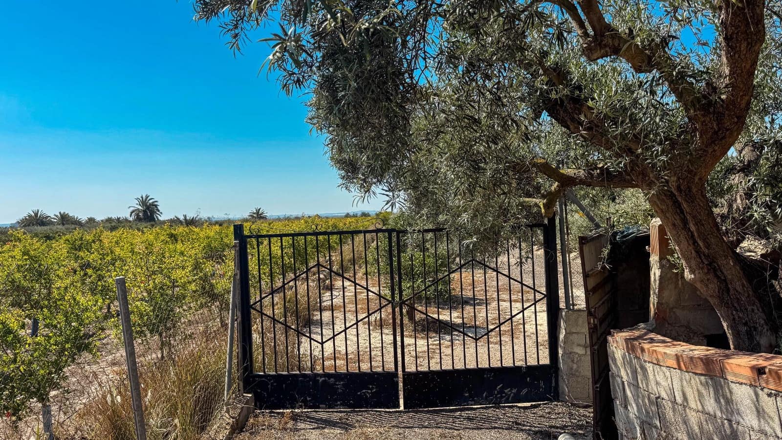 Terreno Non Edificato in vendita in Crevillente / Crevillent - 77.000 € (Rif: 9018161)