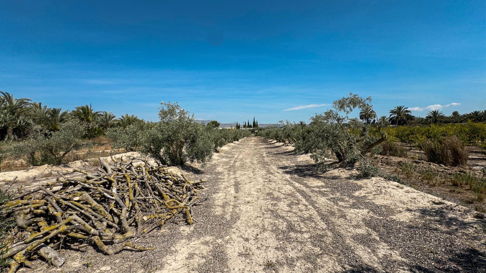 Terreno Non Edificato in vendita in Crevillente / Crevillent - 77.000 € (Rif: 9018161)