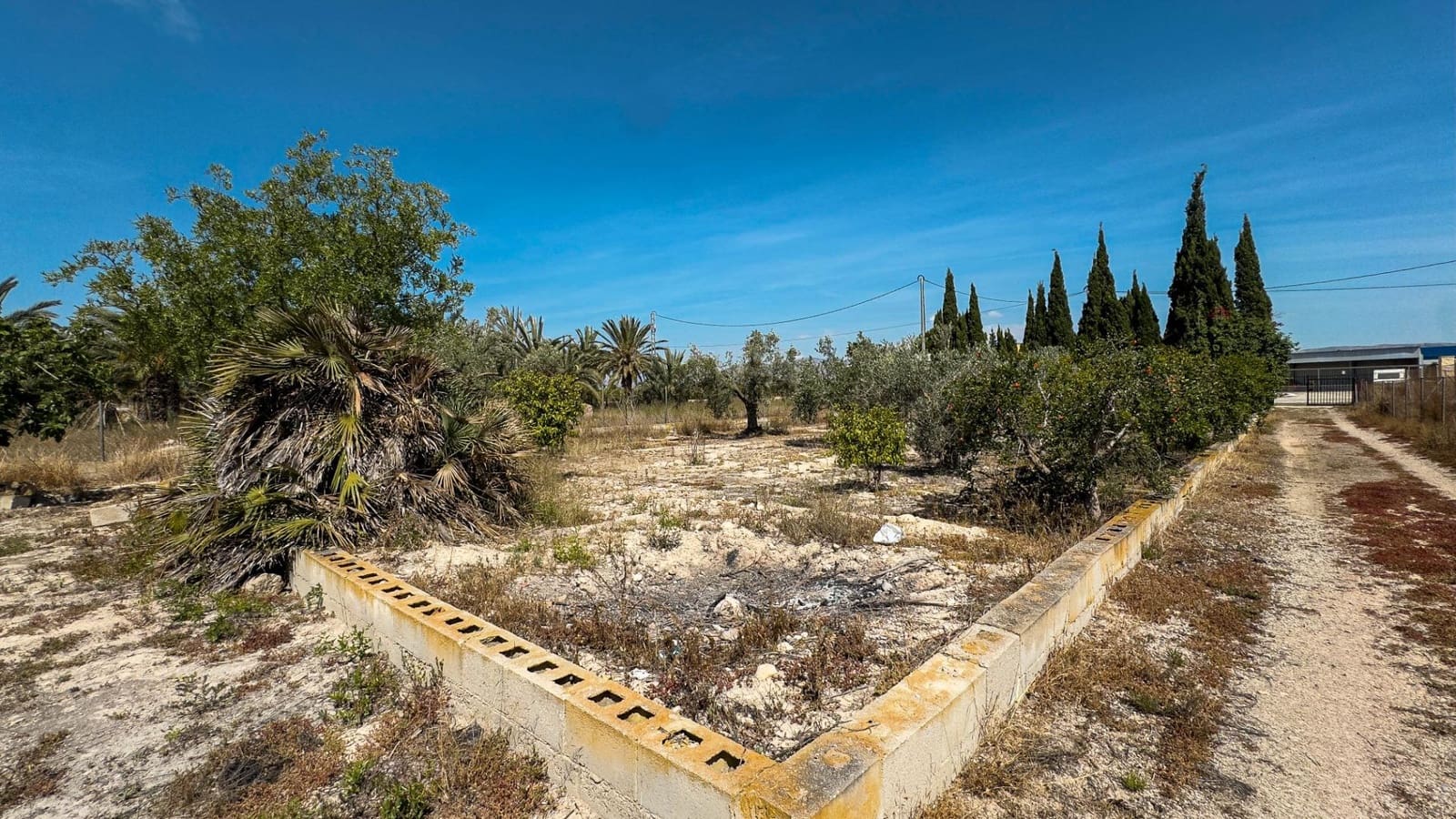 Terreno Non Edificato in vendita in Crevillente / Crevillent - 77.000 € (Rif: 9018161)