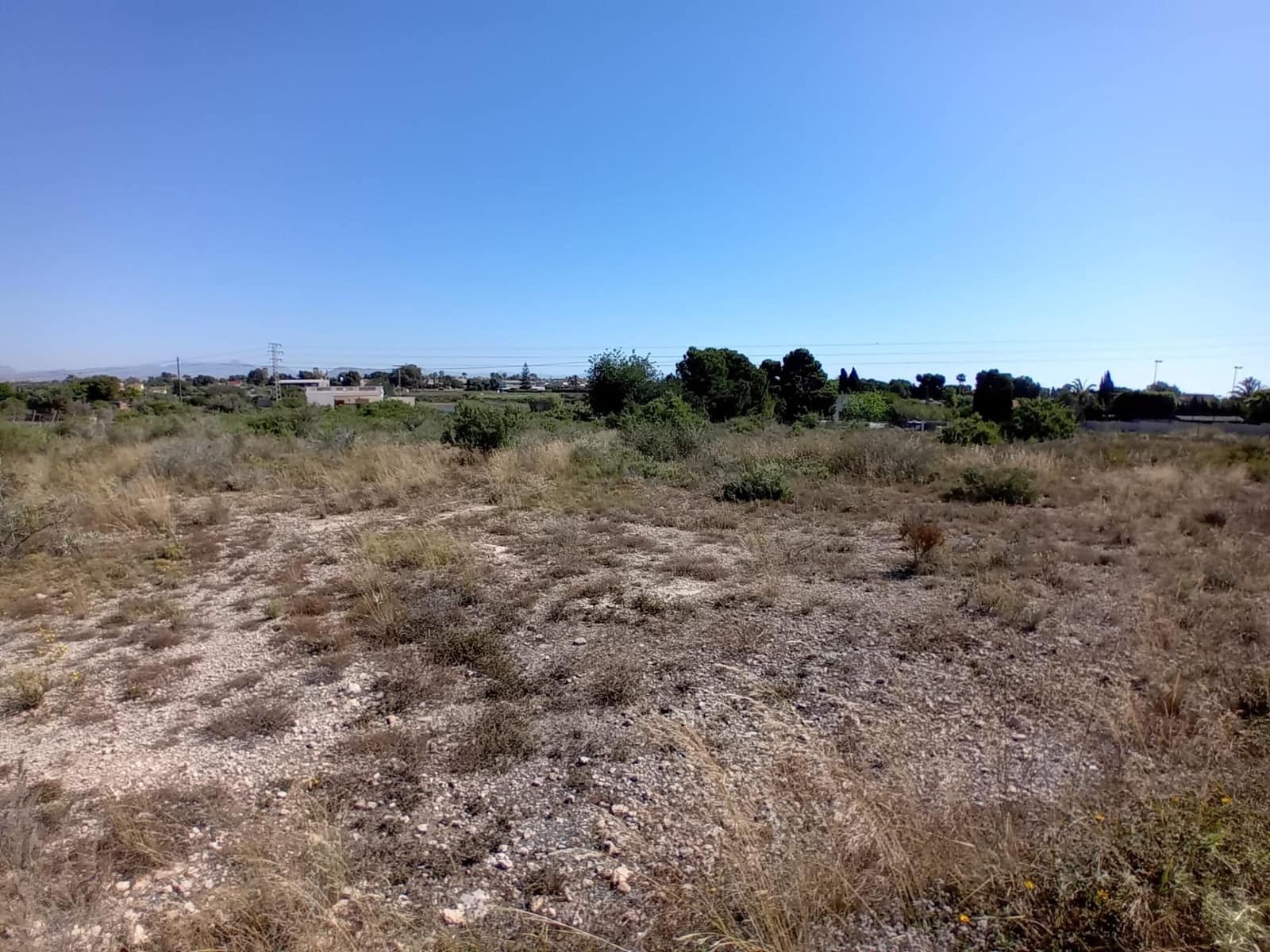 Terreno Não Urbanizado para venda em Valverde - 50 000 € (Ref: 9020833)