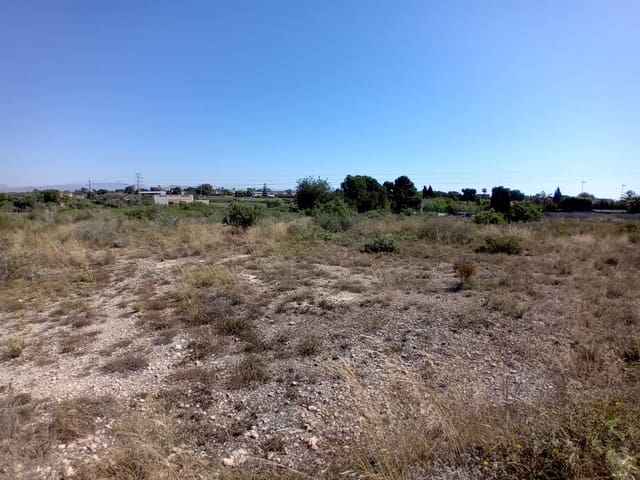 Terreno Não Urbanizado para venda em Valverde, Elche / Elx - 50 000 € (Ref: 9020833)