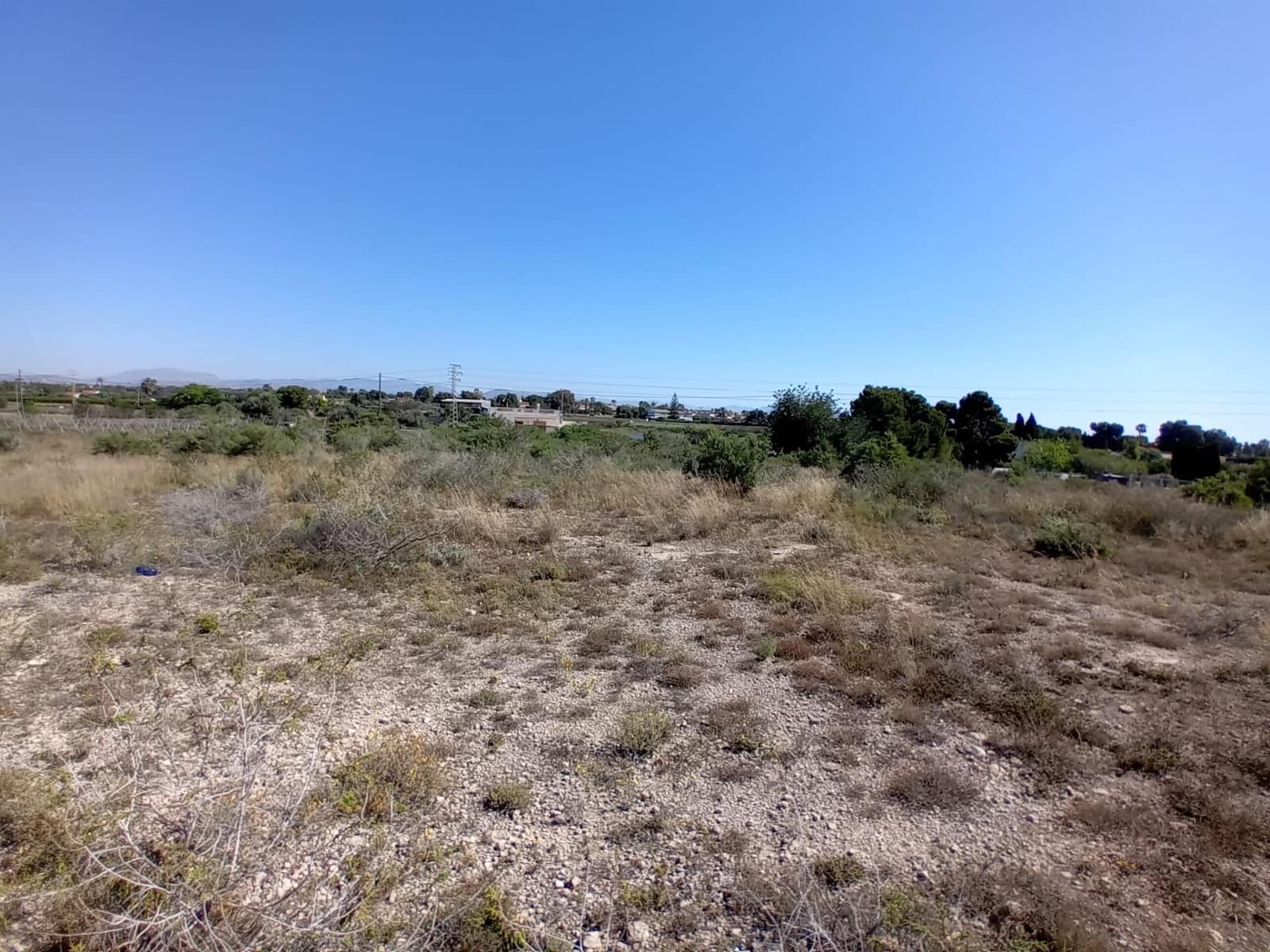 Terreno Não Urbanizado para venda em Valverde - 50 000 € (Ref: 9020833)