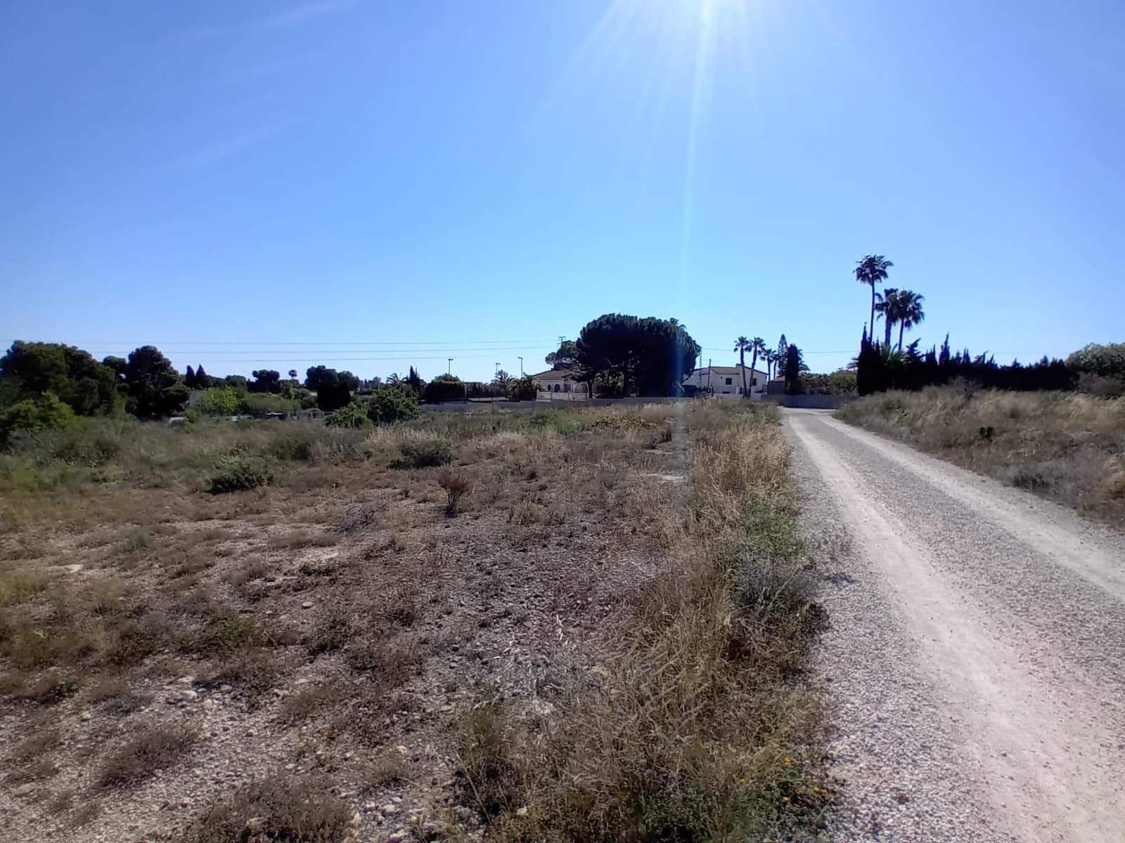 Terreno Não Urbanizado para venda em Valverde - 50 000 € (Ref: 9020833)