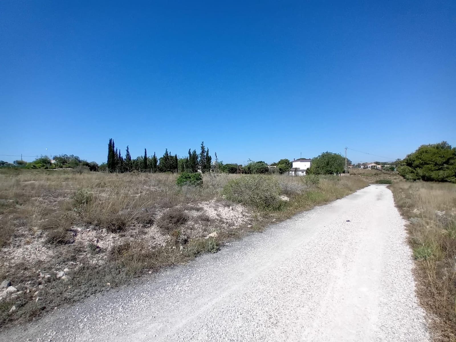 Terreno Não Urbanizado para venda em Valverde - 50 000 € (Ref: 9020833)