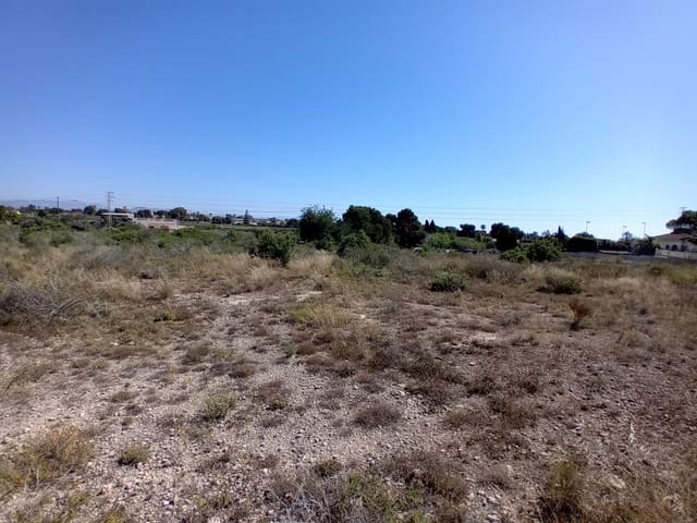 Terreno Não Urbanizado para venda em Valverde, Elche / Elx - 50 000 € (Ref: 9020833)