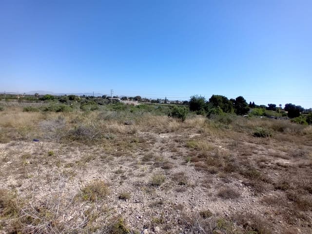 Terreno Não Urbanizado para venda em Valverde, Elche / Elx - 50 000 € (Ref: 9020833)