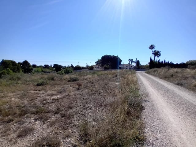 Terreno Não Urbanizado para venda em Valverde, Elche / Elx - 50 000 € (Ref: 9020833)