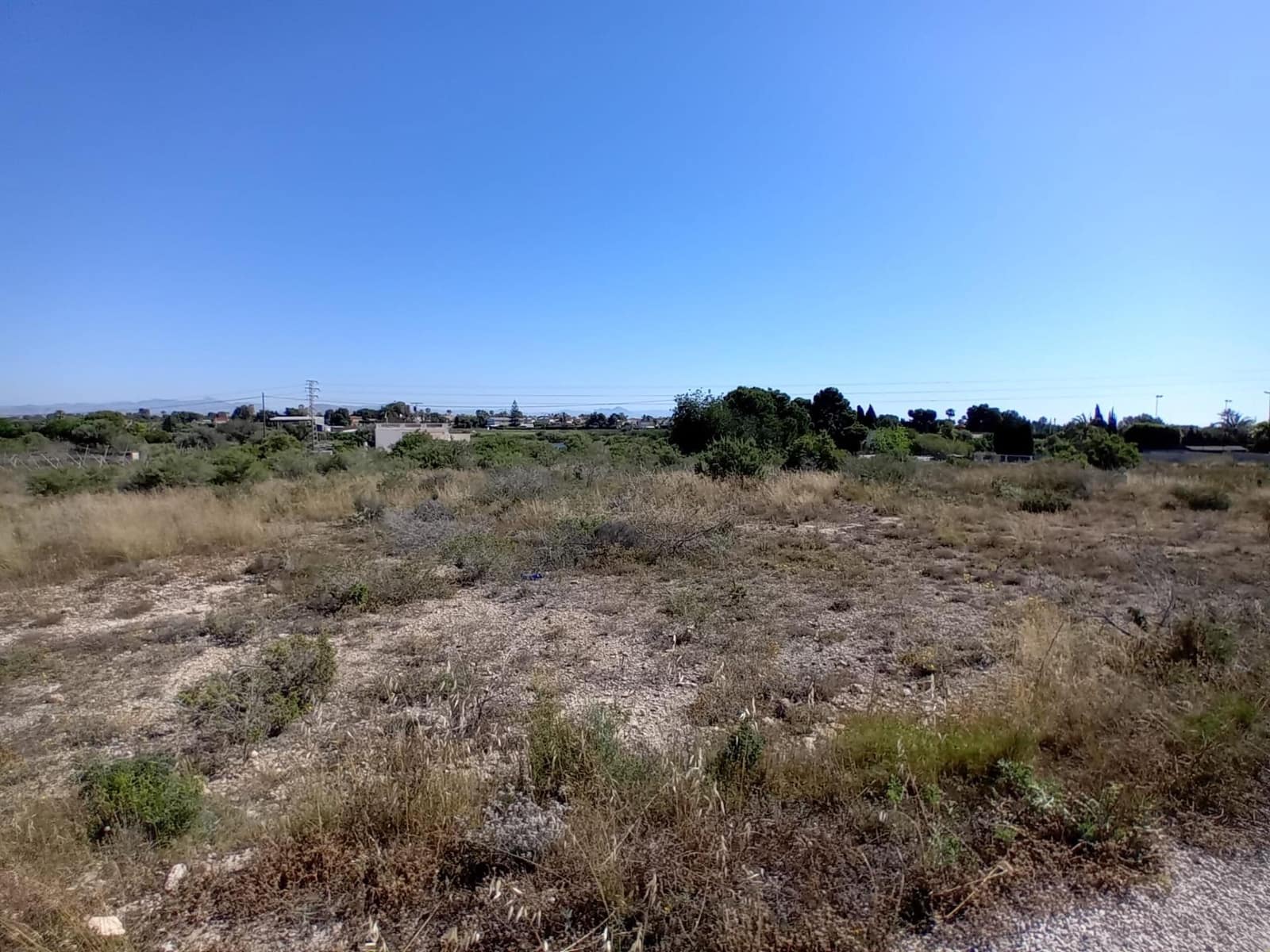 Terreno Não Urbanizado para venda em Valverde - 50 000 € (Ref: 9020833)