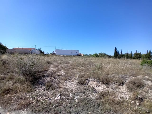 Terreno Não Urbanizado para venda em Valverde, Elche / Elx - 50 000 € (Ref: 9020833)