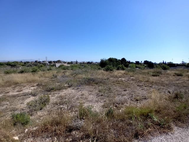 Terreno Não Urbanizado para venda em Valverde, Elche / Elx - 50 000 € (Ref: 9020833)