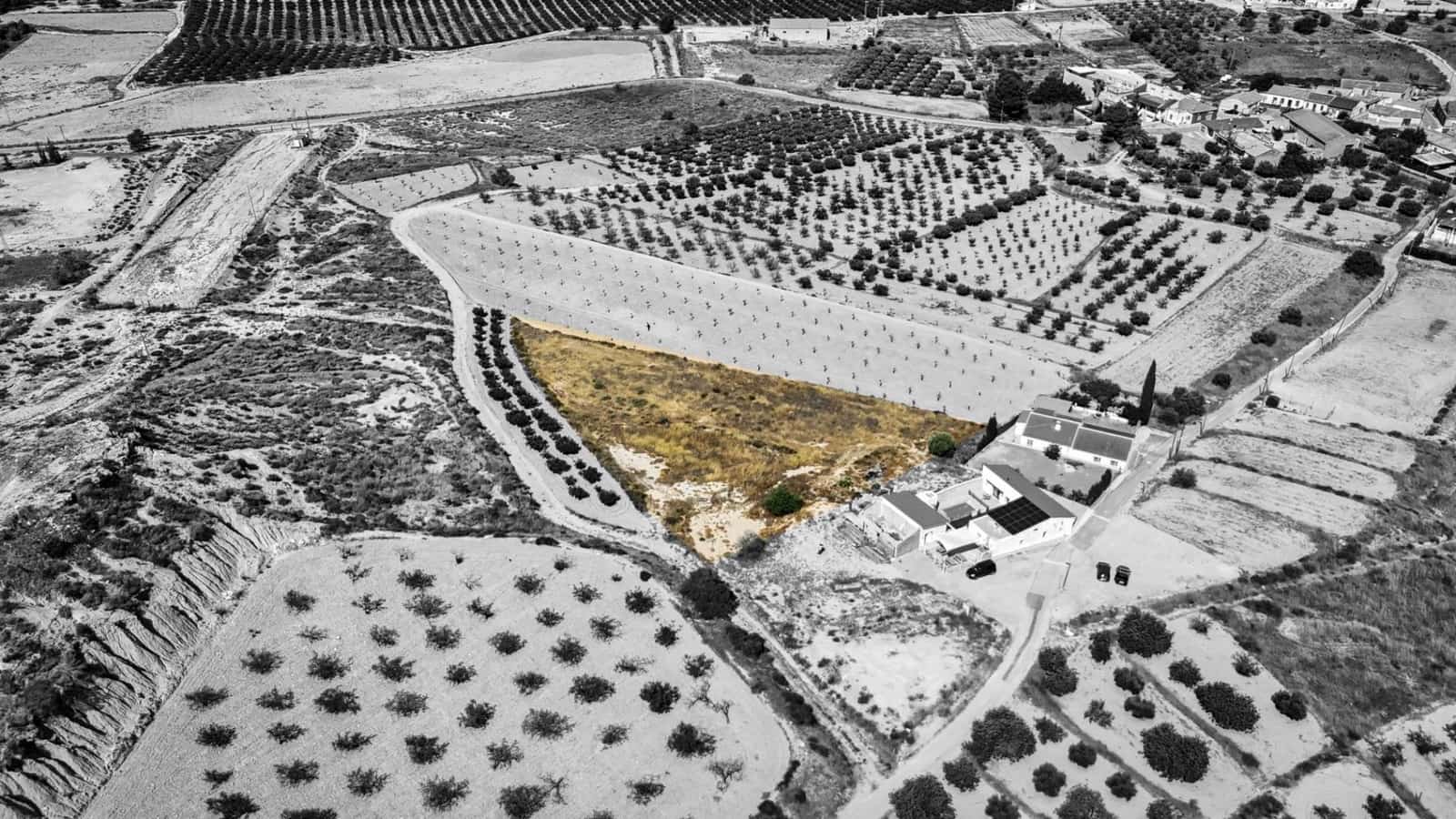 Terre non Aménagée à vendre à La Tercia - 85 000 € (Ref: 9132259)