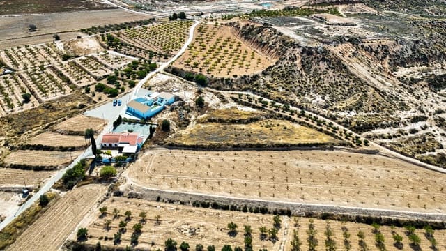 Terre non Aménagée à vendre à La Tercia, Murcie ville - 85 000 € (Ref: 9132259)