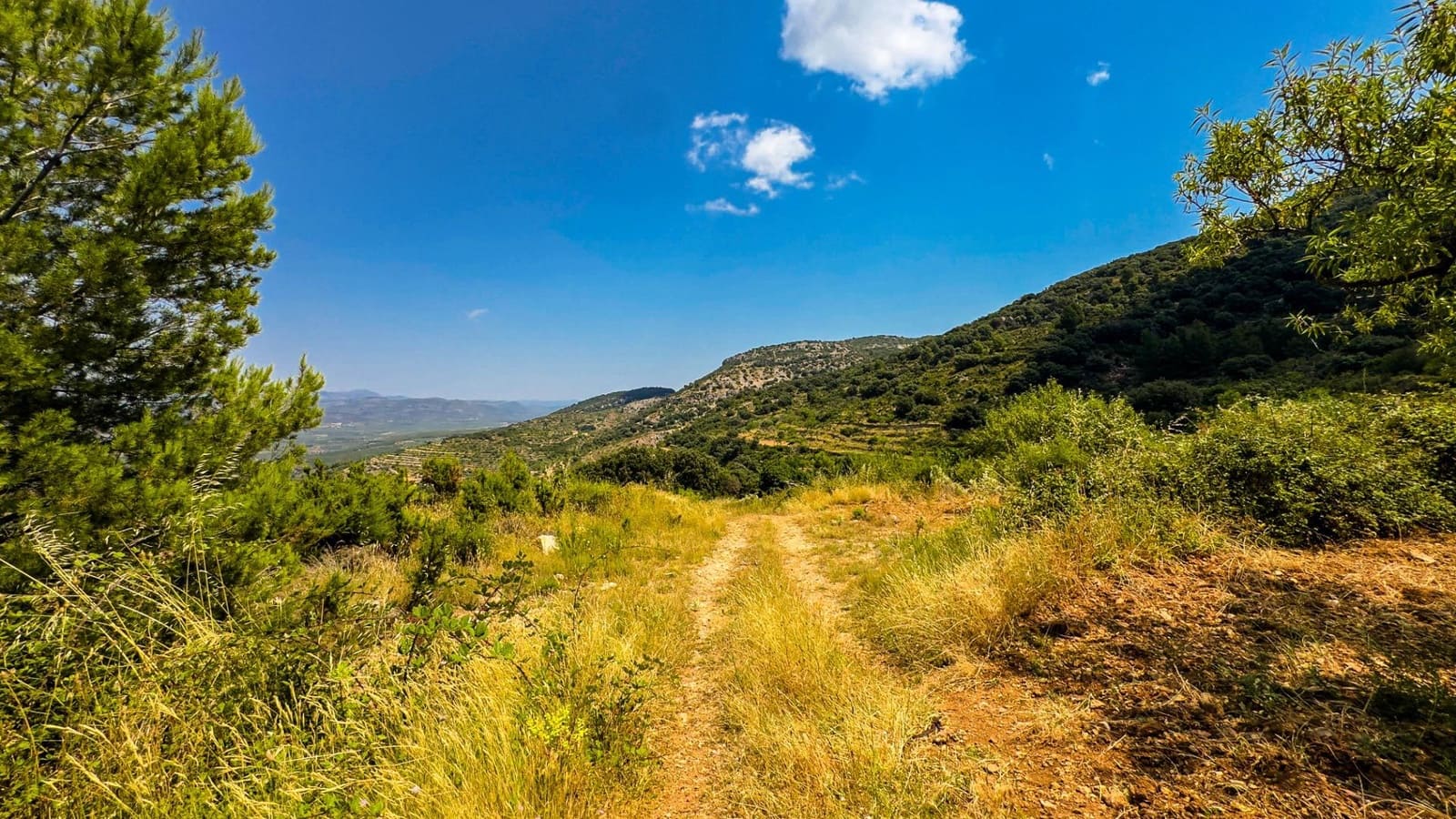 Bauplatz zu verkaufen in Sierra Engarceran - 899.000 € (Ref: 9145402)