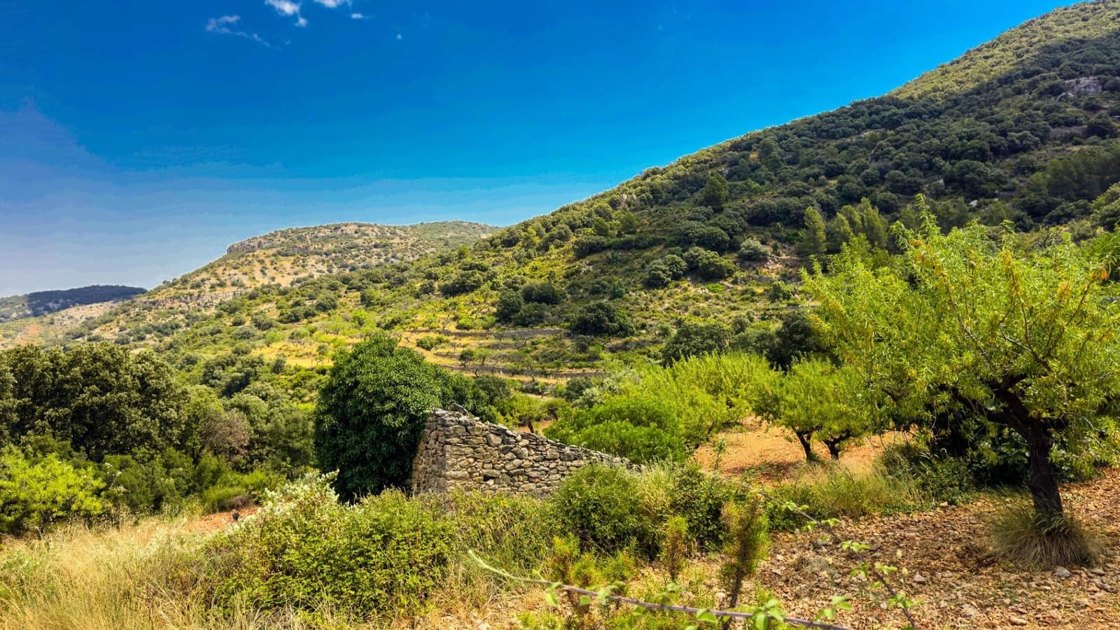 Bauplatz zu verkaufen in Sierra Engarceran - 899.000 € (Ref: 9145402)