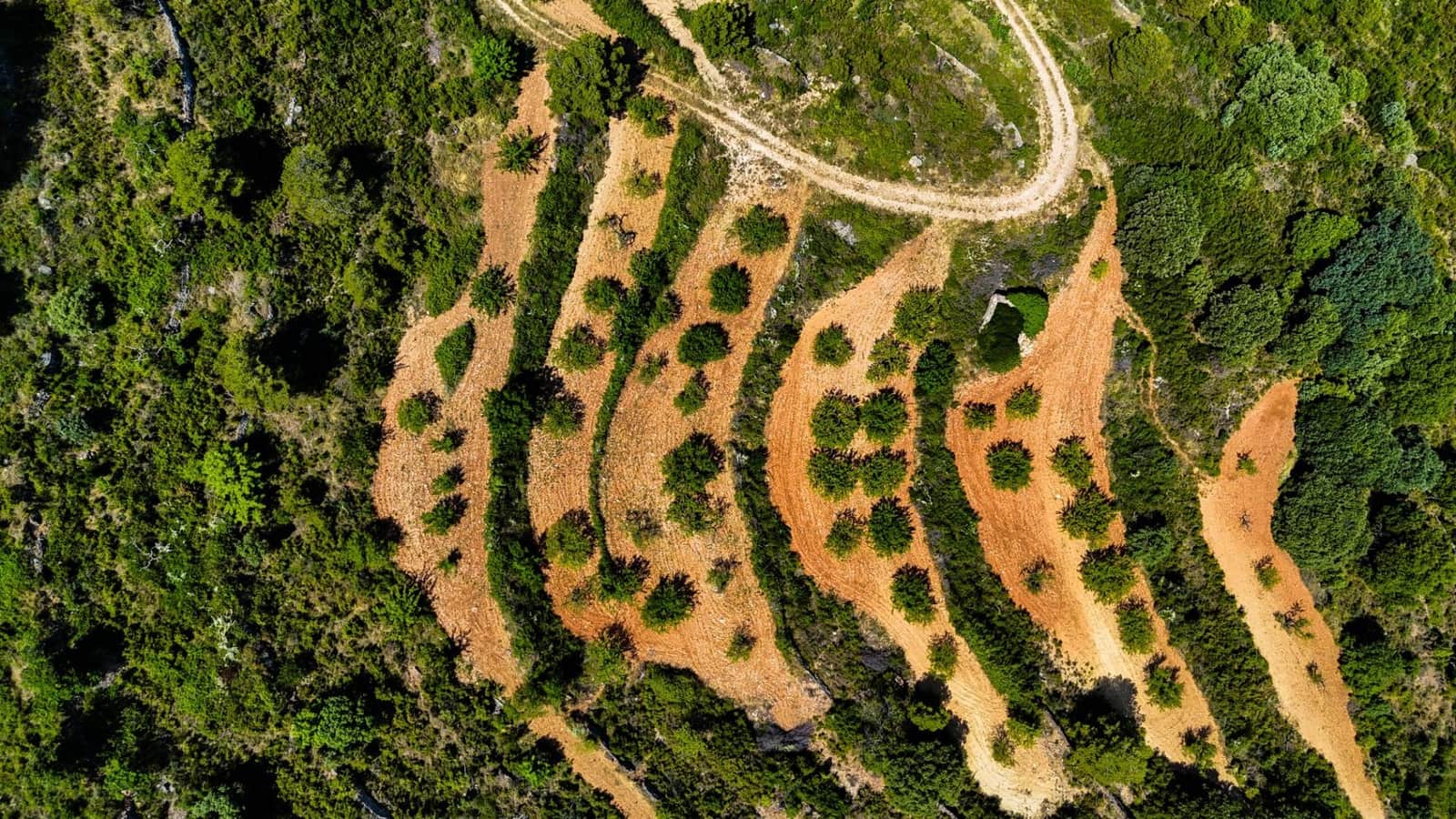 Bauplatz zu verkaufen in Sierra Engarceran - 899.000 € (Ref: 9145402)