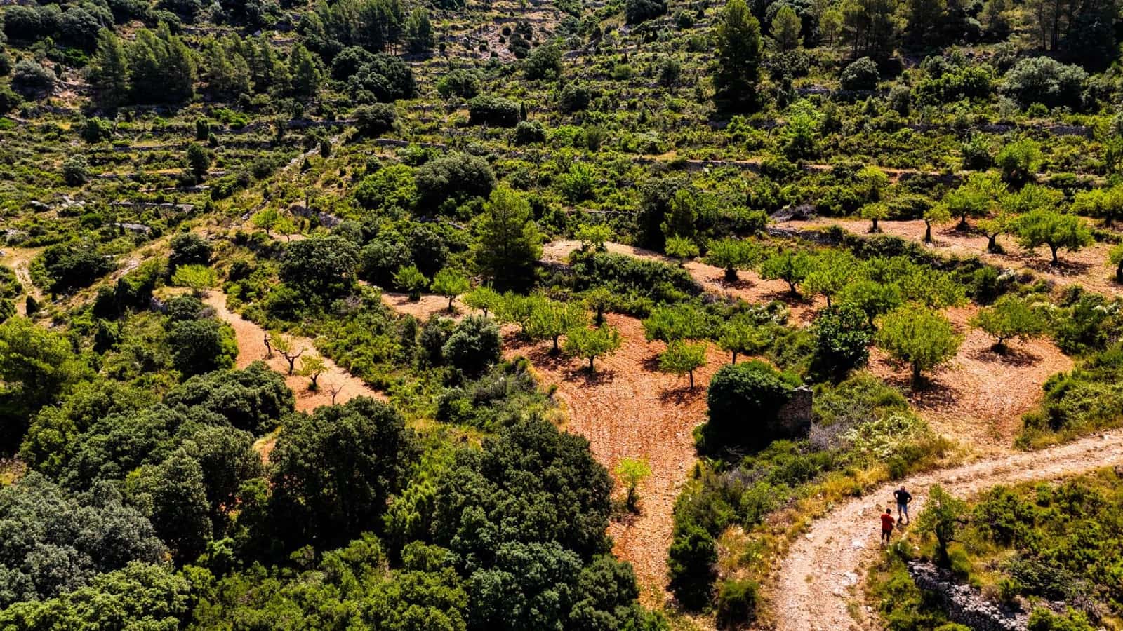 Bauplatz zu verkaufen in Sierra Engarceran - 899.000 € (Ref: 9145402)